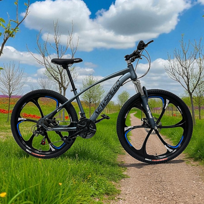 Bicicletă MTB New Speed, roți 24 sau 26 inch, 21 viteze, cadru oțel, frâne pe disc, NS63 [8]