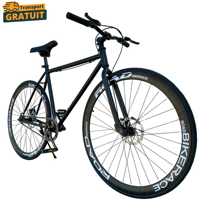 Bicicletă Urbană New Speed, roți 700C 28 inch, ușoară, frâne pe disc, NS69 [1]