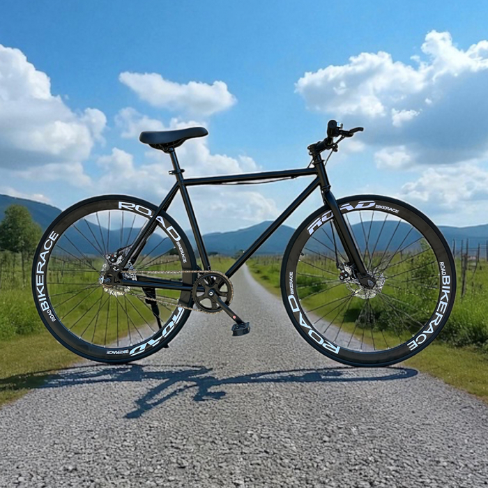 Bicicletă Urbană New Speed, roți 700C 28 inch, ușoară, frâne pe disc, NS69 [10]