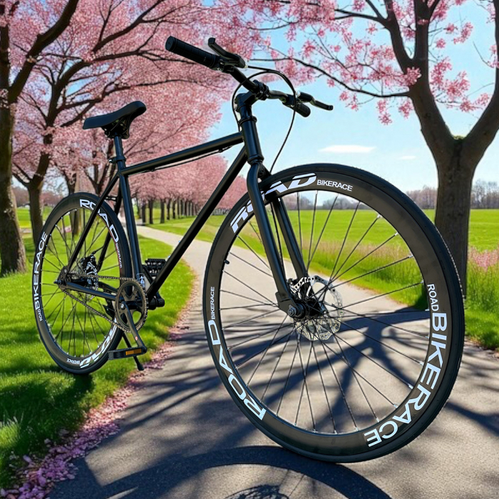 Bicicletă Urbană New Speed, roți 700C 28 inch, ușoară, frâne pe disc, NS69 [9]