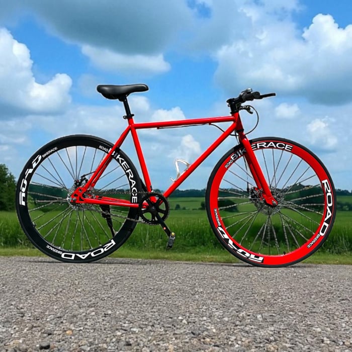 Bicicletă Urbană New Speed, roți 700C 28 inch, ușoară, frâne pe disc, NS71 [8]