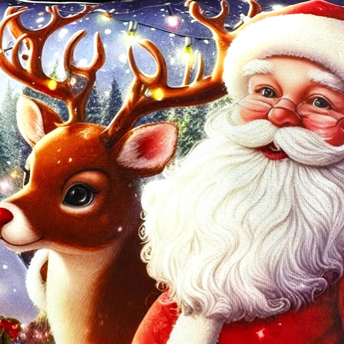 Pernă decorativă de Crăciun 40x40 cm cu Moș Crăciun PPC05 [4]