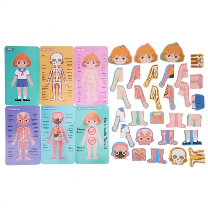 Puzzle educativ din lemn corpul uman fetiță în limba română JC64 [3]
