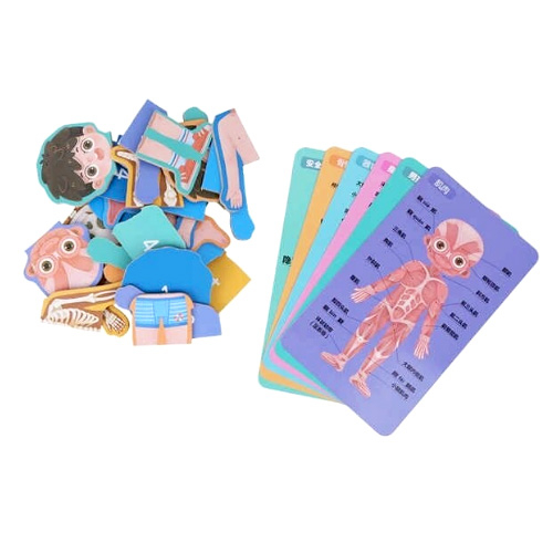 Puzzle educativ din lemn corpul uman băiețel în limba română JC65 [4]