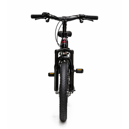 Bicicletă Caraiman, pliabilă, roți 20 inch, cu dublă suspensie, frâne pe disc, roșie [8]