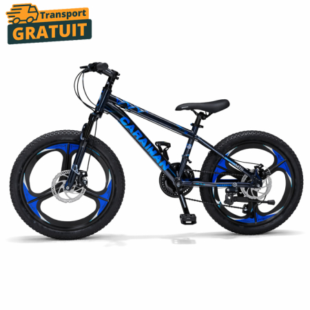 Pentru copii - Bicicletă Caraiman, roți 20 inch, cadru oțel, frâne pe disc, cameleon