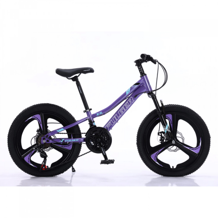 Biciclete - Bicicletă Fulger by Caraiman, roți 20 inch, cadru oțel, frâne pe disc, mov, BC04