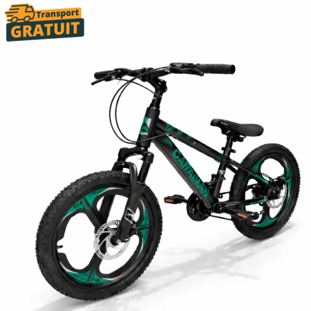 Biciclete - Bicicletă Caraiman, roți 20 inch, cadru oțel, frâne pe disc, negru cu verde