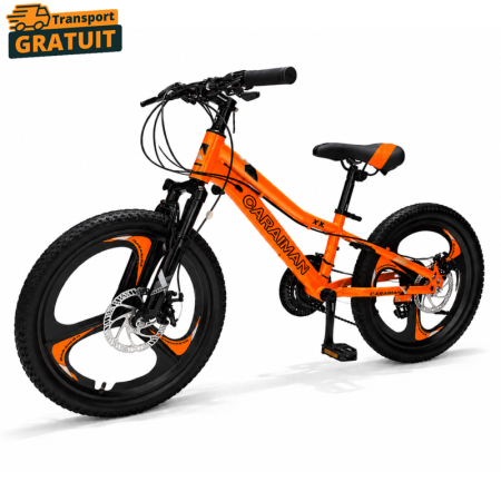Biciclete - Bicicletă Caraiman, roți 20 inch, cadru oțel, frâne pe disc, portocaliu