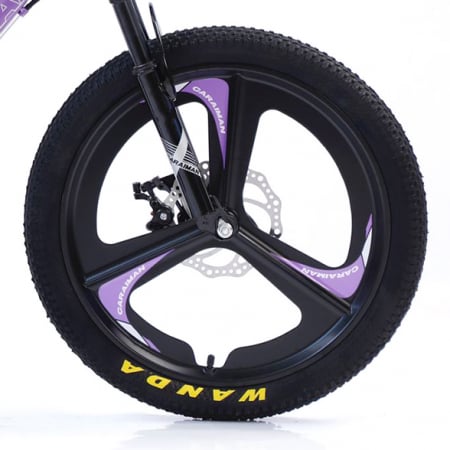 Biciclete - Bicicletă Fulger by Caraiman, roți 20 inch, cadru oțel, frâne pe disc, mov, BC04