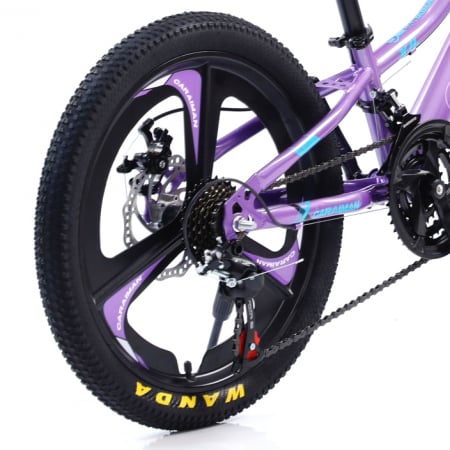 Biciclete - Bicicletă Fulger by Caraiman, roți 20 inch, cadru oțel, frâne pe disc, mov, BC04