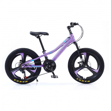 Biciclete - Bicicletă Caraiman, roți 20 inch, cadru oțel, frâne pe disc, mov