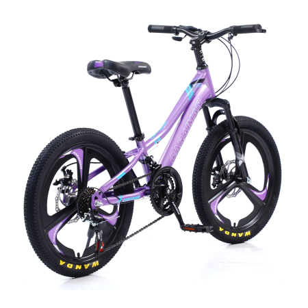 Biciclete - Bicicletă Caraiman, roți 20 inch, cadru oțel, frâne pe disc, mov