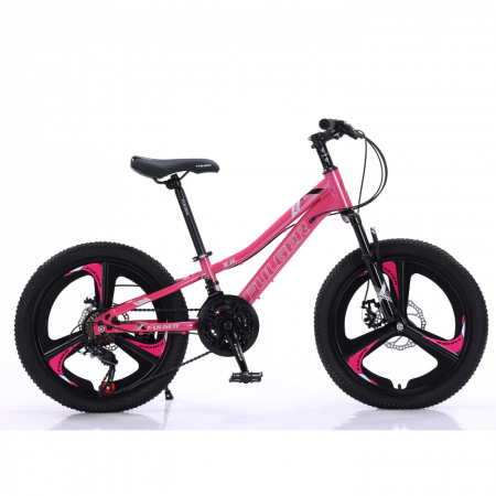Biciclete - Bicicletă Fulger by Caraiman, roți 20 inch, cadru oțel, frâne pe disc, roz, BC01