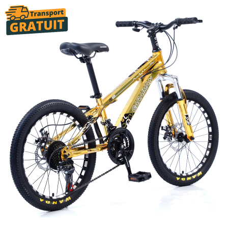 Biciclete - Bicicletă Caraiman, roți 24 inch, cadru oțel, frâne pe disc, galbenă, BC91