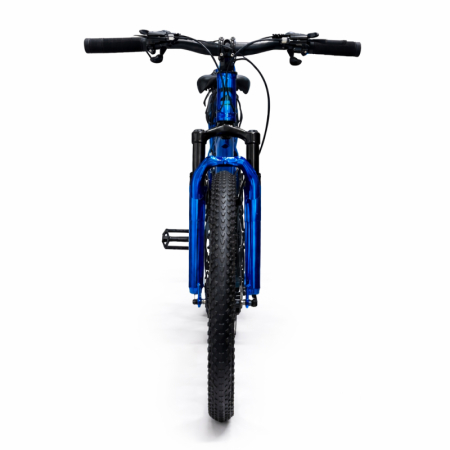 Bicicletă Caraiman, roți 26 inch, cadru oțel, frâne pe disc, bleumarin, BC125 [5]