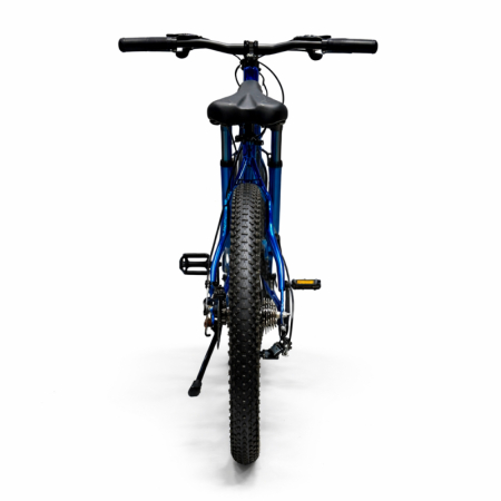 Bicicletă Caraiman, roți 26 inch, cadru oțel, frâne pe disc, bleumarin, BC125 [6]