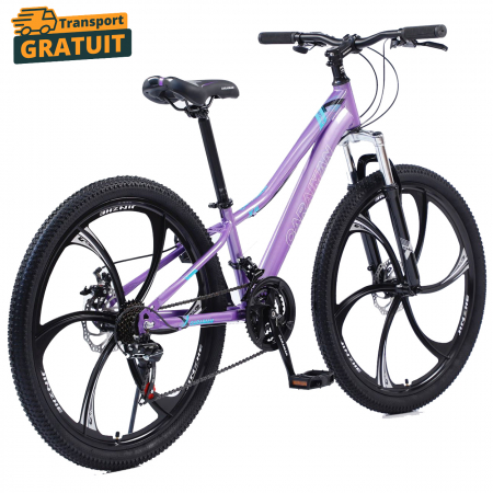Biciclete - Bicicletă Caraiman, roți 24 sau 26 inch, cadru oțel, frâne pe disc, galben, BC27