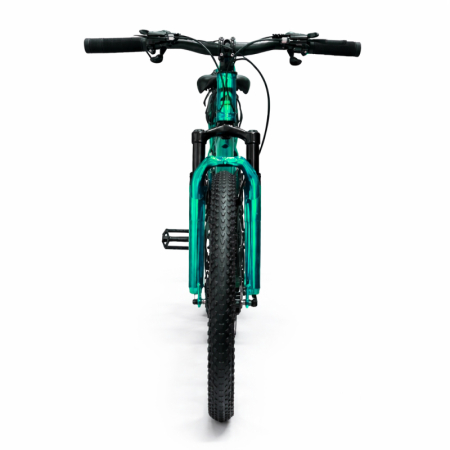 Bicicletă Caraiman, roți 26 inch, cadru oțel, frâne pe disc, turcoaz, BC123 [5]