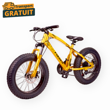 Biciclete - Bicicletă FatBike Fulger by Caraiman, roți 20 inch, cauciucuri groase, frâne pe disc, aurie