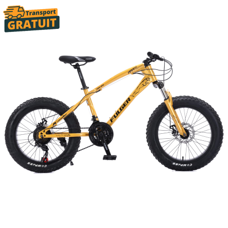 Biciclete - Bicicletă FatBike Fulger by Caraiman, roți 20 inch, cauciucuri groase, frâne pe disc, aurie