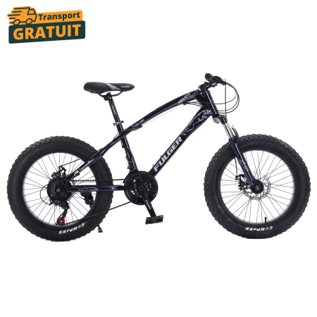 Biciclete - Bicicletă FatBike Fulger by Caraiman, roți 20 inch, cauciucuri groase, frâne pe disc, cameleon