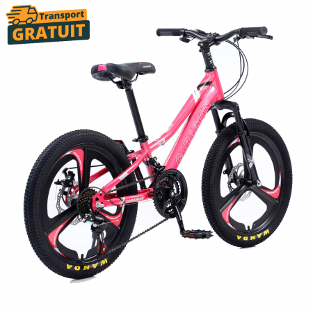 Biciclete - Bicicletă Fulger by Caraiman, roți 20 inch, cadru oțel, frâne pe disc, roz, BC01