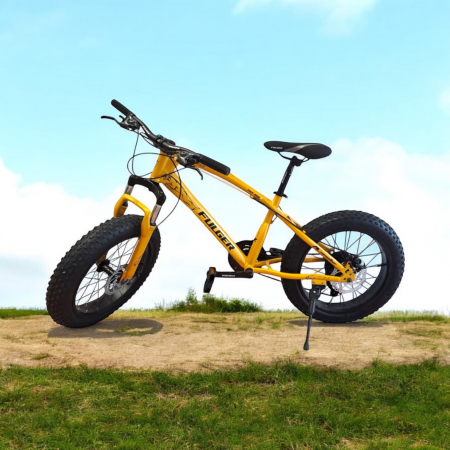 Biciclete - Bicicletă FatBike Fulger by Caraiman, roți 20 inch, cauciucuri groase, frâne pe disc, aurie, BC52
