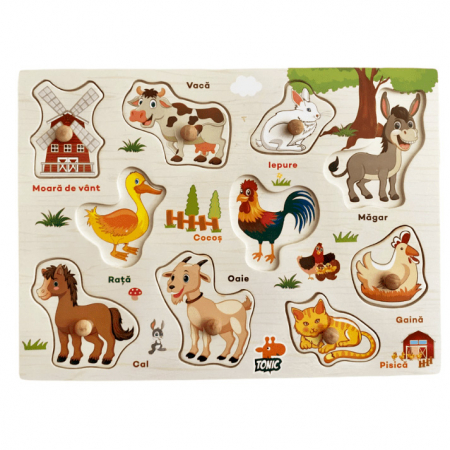Jucării - Puzzle incastru din lemn cu butoni în limba română animale domestice JC36
