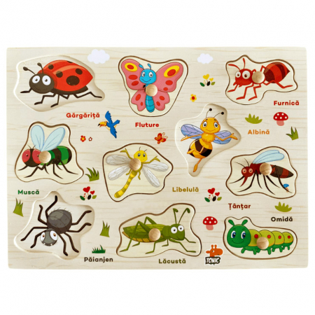 Jucării - Puzzle incastru din lemn cu butoni în limba română cu insecte JC40