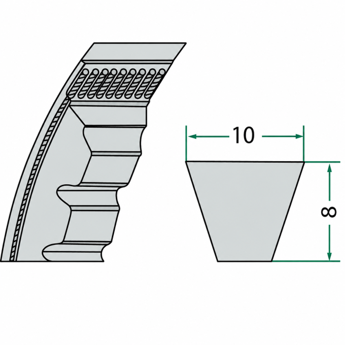 curea trapezoidala 10x8 [2]