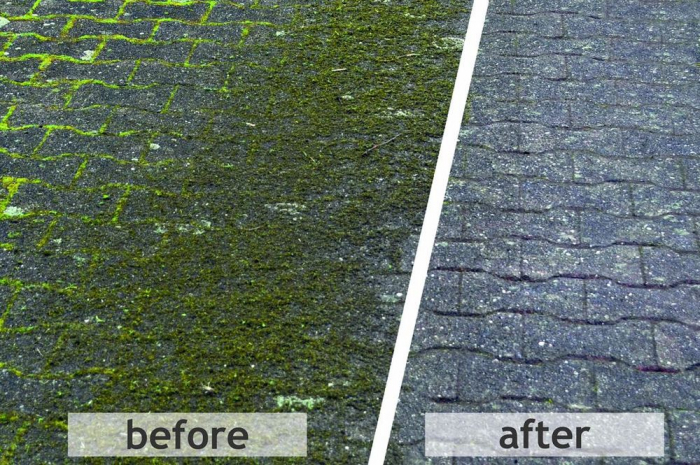 Matura radiala WR 870 cu motor Honda GCVx170 [3]