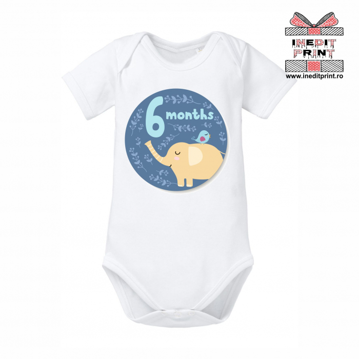 Body 1-12 MONTHS  TPC19 [6]