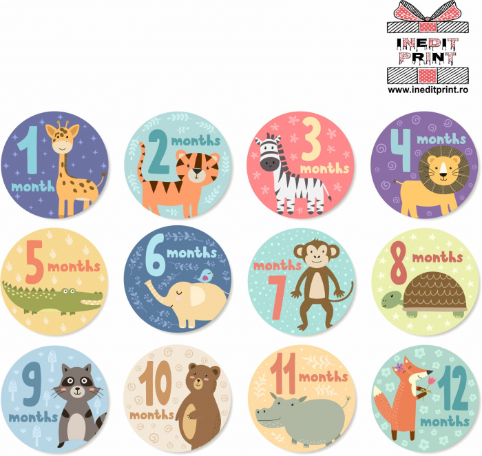 Body 1-12 MONTHS  TPC19 [13]
