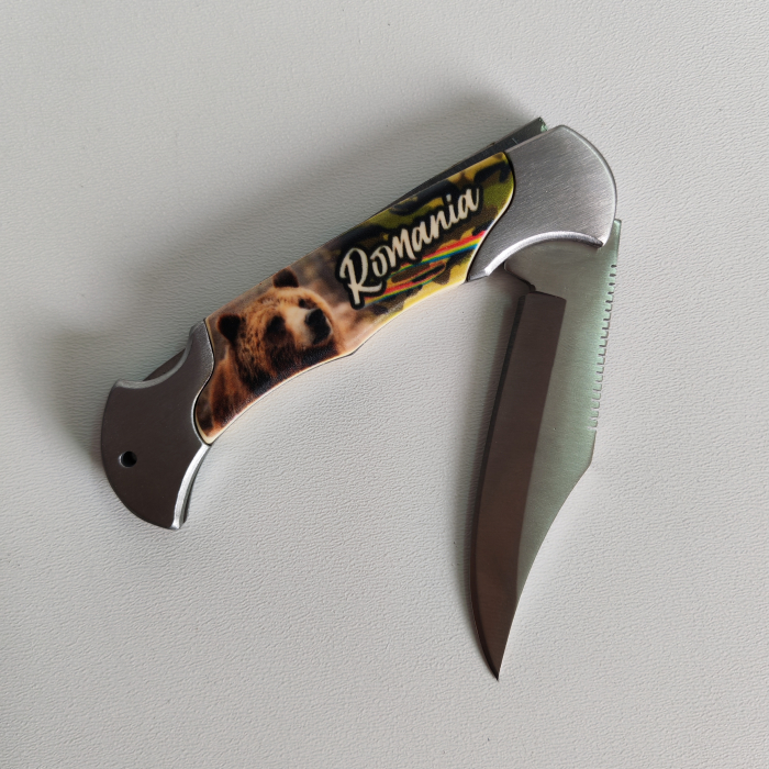 Briceag Romania SVR130 [4]