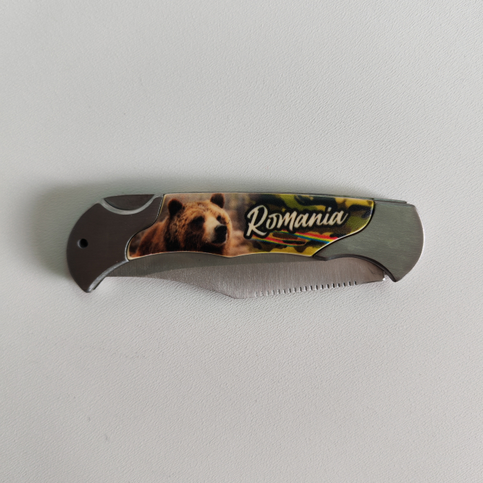 Briceag Romania SVR130 [2]