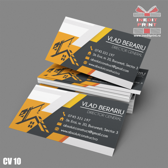 Cărți de vizită personalizate CV10 [2]