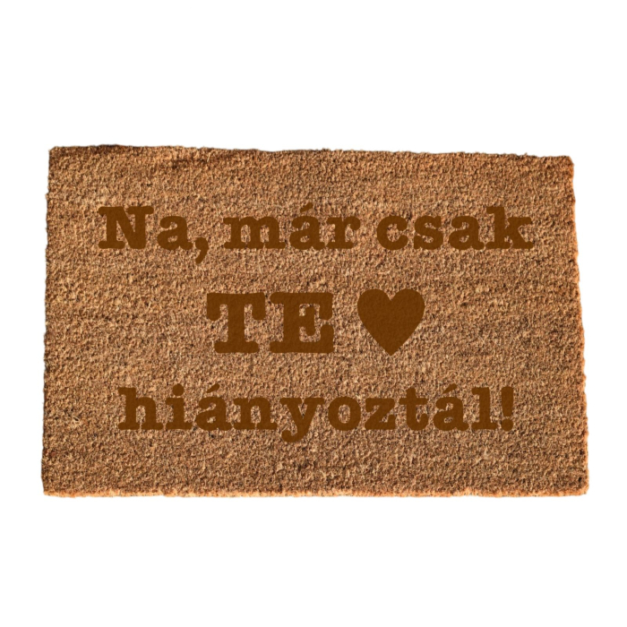 Covoras intrare personalizat Te hianyoztal CIP22 [2]