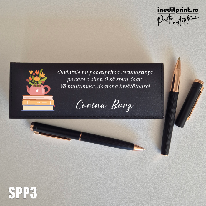 Set pixuri in cutie personalizata - invatatori SPP3 [2]