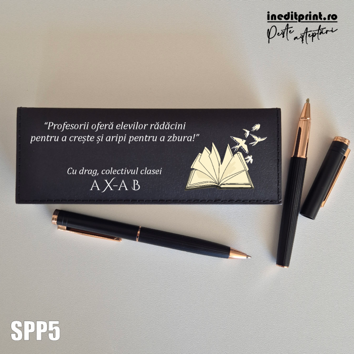 Set pixuri in cutie personalizata - profesori SPP5 [2]