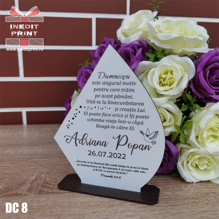 Decorațiune Botez DC8 [2]