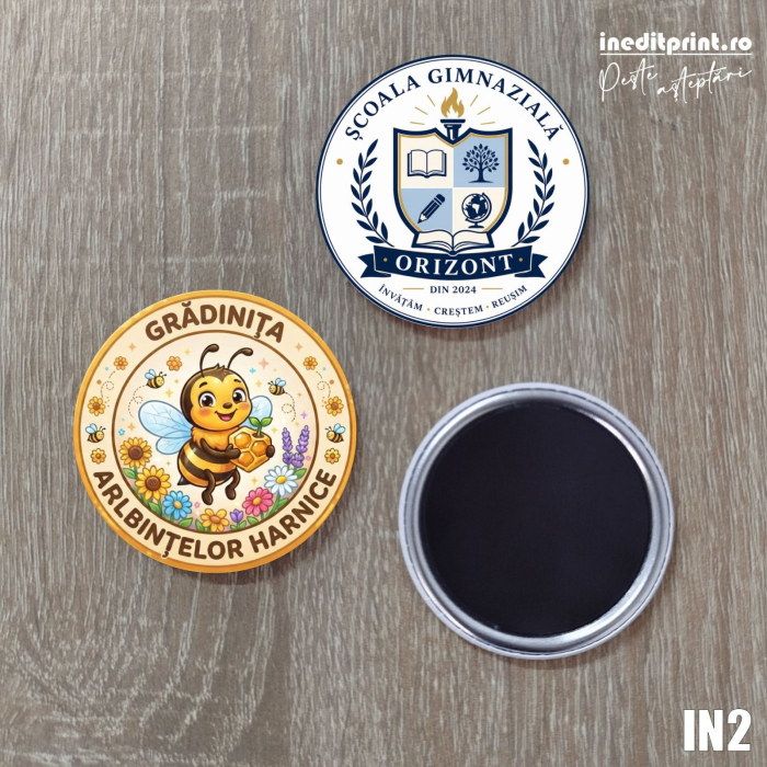 Insigne personalizate pentru scoli si gradinite IN2 [5]