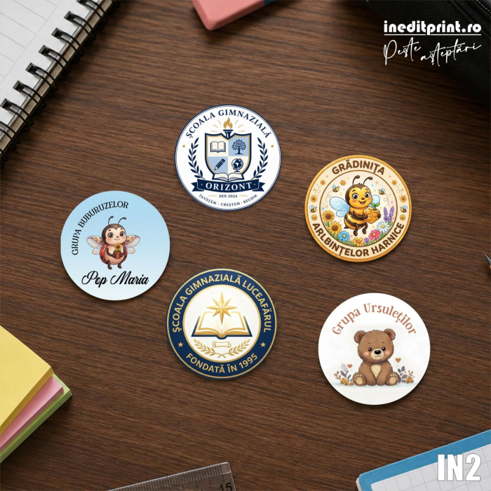 Insigne personalizate pentru scoli si gradinite IN2 [3]