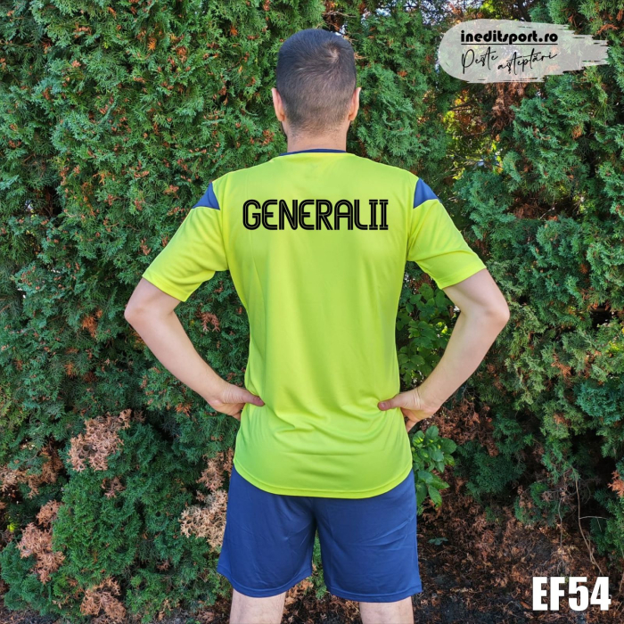 KIT Phoenix JOMA, galben cu bleumarin - EF54 [4]