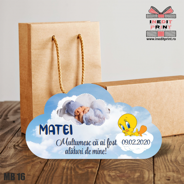 Mărturie Botez Norișor MB18 [2]