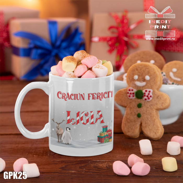 Pachet cadou de Crăciun Grădiniță GPK25 [2]