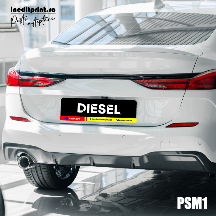 PACHET suport si placuta auto personalizata PSM1 [5]