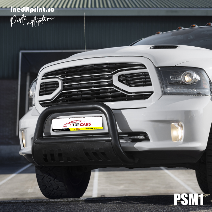 PACHET suport si placuta auto personalizata PSM1 [4]