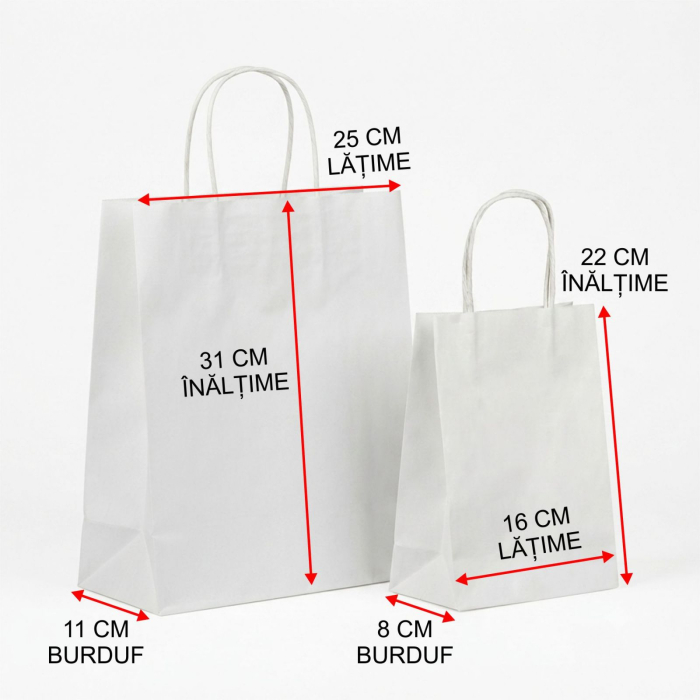 Punga din hartie pentru nunta personalizata PHNP7 [3]