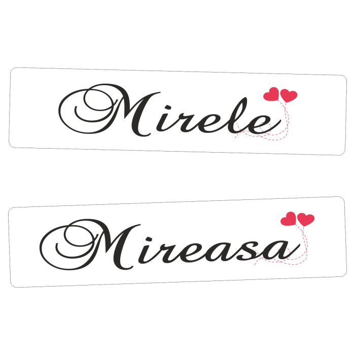 Set Placute decor auto PDA11 [3]